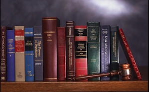 A selection of Emory Law faculty publications
